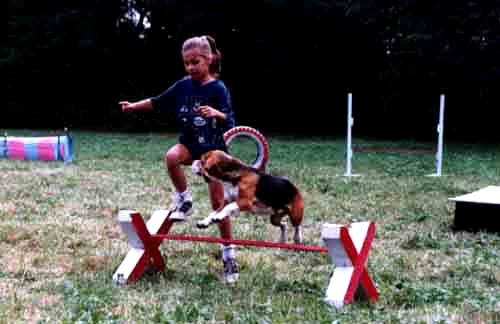 agility1.JPG (17492 bytes)