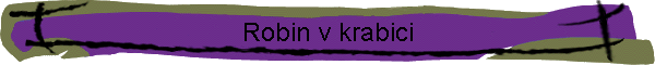 Robin v krabici