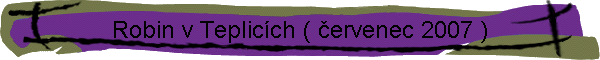 Robin v Teplic�ch ( �ervenec 2007 )
